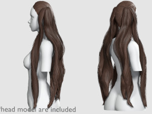 Wavy Long Hairstyle V12144 Modello 3D