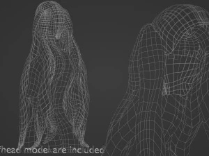 Wavy Long Hairstyle V12144 3D Model