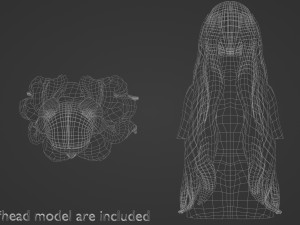 Wavy Long Hairstyle V12144 Modello 3D
