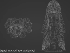 Wavy Long Hairstyle V12144 3D Model