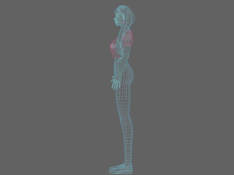 Standard Basic Woman V30946 Modèle 3D