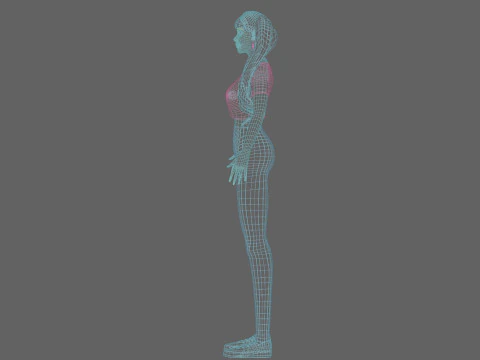 Standard Basic Woman V30946 3D Model