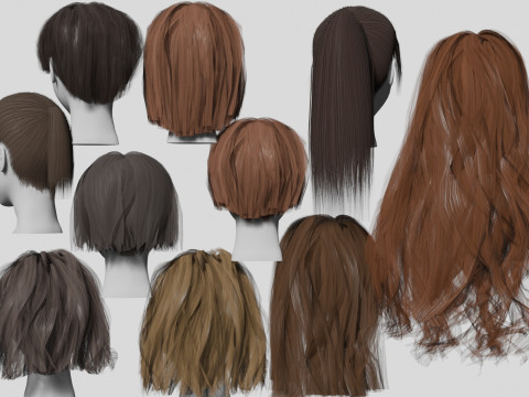 10 Hairstyles collection 3D Model