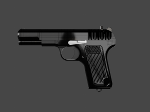 TT - 33 3D Model