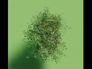 Lowpoly Tree with Transparent PBR Textures Modelo 3D