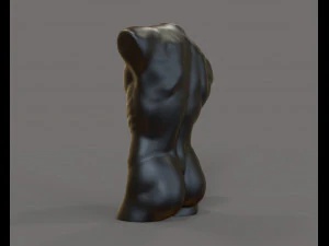 David torso for candle 3D Print Model