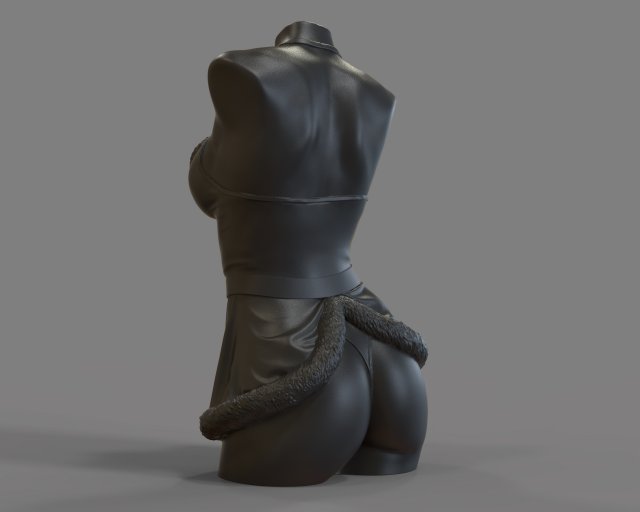 Sexy woman Mrs Claus for candle Modèles 3D en vedette .c4d .max .obj .3ds .fbx .stl .blend 