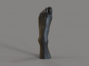 of a foot for a candle 3D Print Model