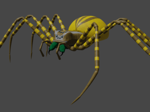 Total Spider 3D मॉडल