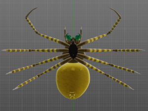 Total Spider 3D मॉडल