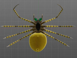 Total Spider 3D Model