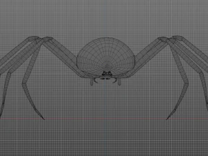 Total Spider 3D Model