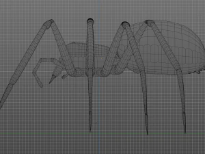 Total Spider 3D Model