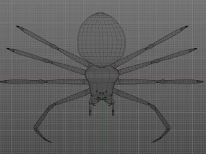 Total Spider 3D Model