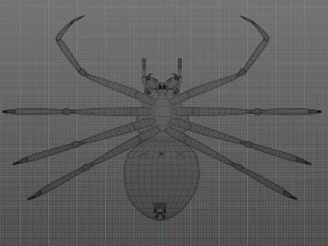 Total Spider 3D Model