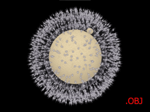 Human Egg Cell 3D Model