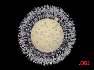 Cellula uovo umana Modello 3D