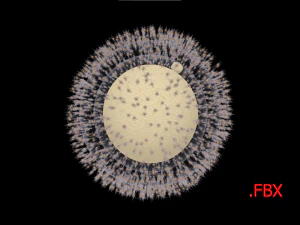 Cellula uovo umana Modello 3D