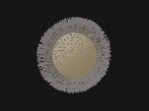 Cellula uovo umana Modello 3D