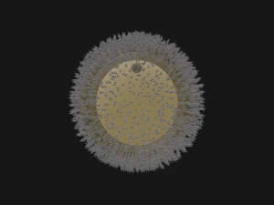 Cellula uovo umana Modello 3D