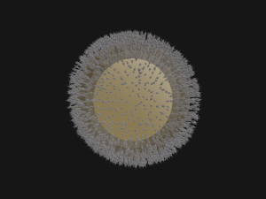 Human Egg Cell 3D Model