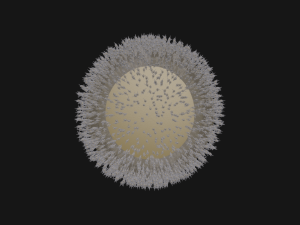 Human Egg Cell 3D Model