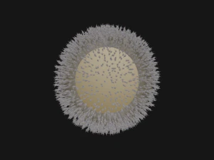 Cellula uovo umana Modello 3D