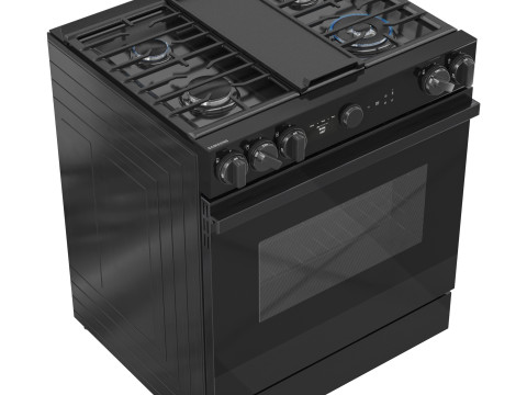 SAMSUNG GasRange NSGD8500 Model 3D