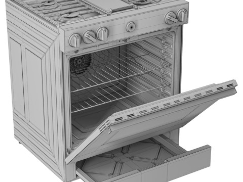 SAMSUNG GasRange NSGD8500 Model 3D