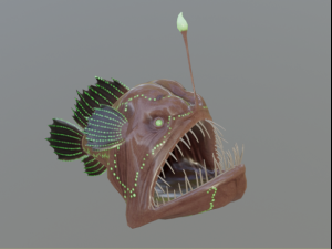 Lophiiformes Anglerfish 3D Model