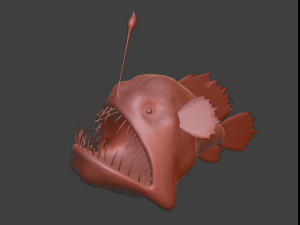 Lophiiformes Anglerfish 3D Model