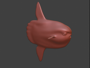 Sunfish 3D Model