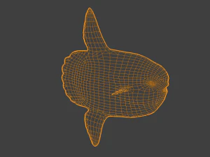 Mondfisch 3D Modell