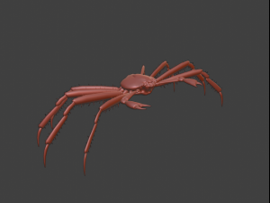 Crab 3D 모델