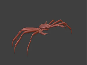 Crab 3D Model