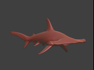 Hammerhead Model 3D