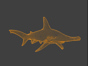 Hammerhead Model 3D