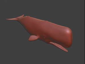 SpermWhale 3D Model