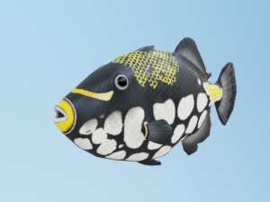 TriggerFish Modelo 3D