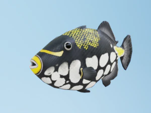 TriggerFish 3D Model