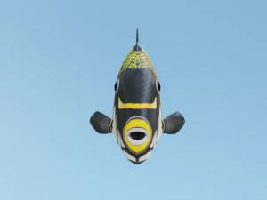 TriggerFish 3D Model