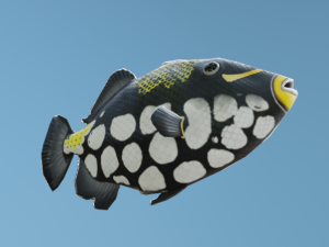TriggerFish Modelo 3D