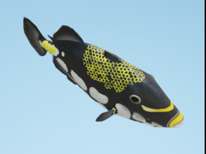 TriggerFish Modelo 3D