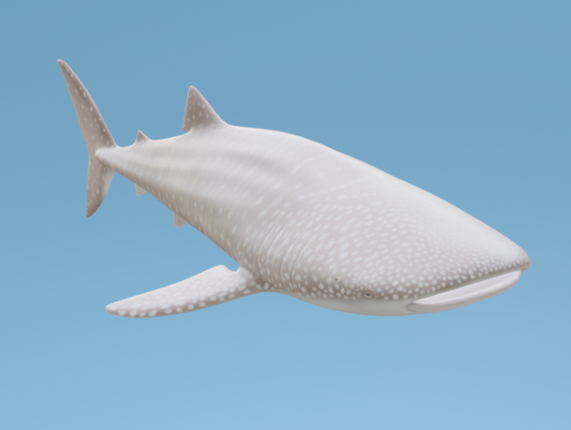 WhaleShark 3D मॉडल .c4d .max .obj .3ds .fbx .stl .blend 