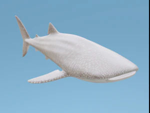 Tubar&atilde;o-baleia Modelo 3D