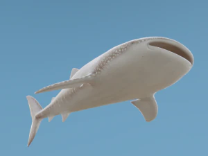 व्हेलशार्क 3D मॉडल