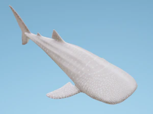 व्हेलशार्क 3D मॉडल