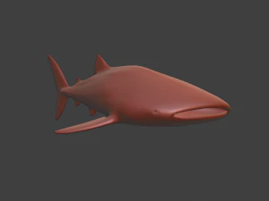 व्हेलशार्क 3D मॉडल