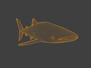 WhaleShark 3D मॉडल