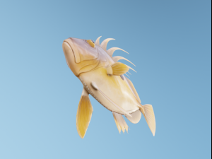 JohnDory Modelo 3D